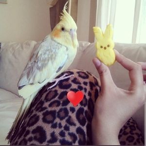 Meet your Posher, Jay